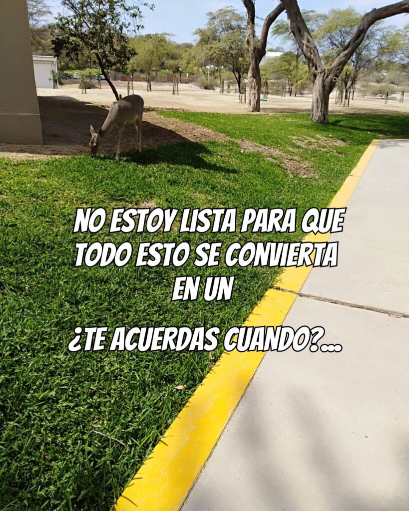 La nostalgia llegó antes del final
